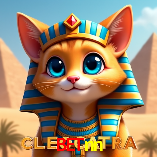 Apostas de Basquete betnn